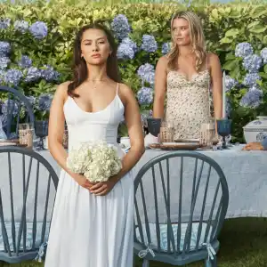 The Summer I Turned Pretty Art