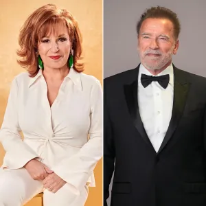 The Views Joy Behar Booed for Joke About Arnold Schwarzenegger Affair