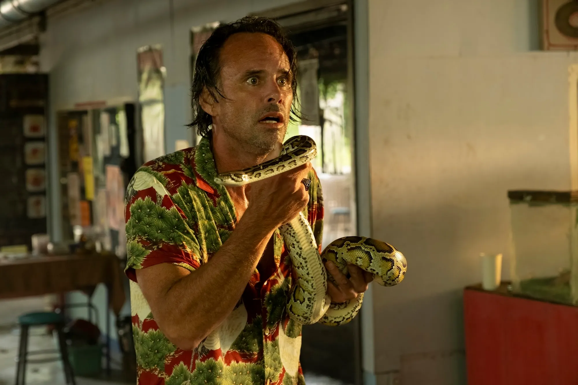 Walton Goggins Says Pedro Pascal Would Be The First Person He d Call for an Intervention After White Lotus Fame