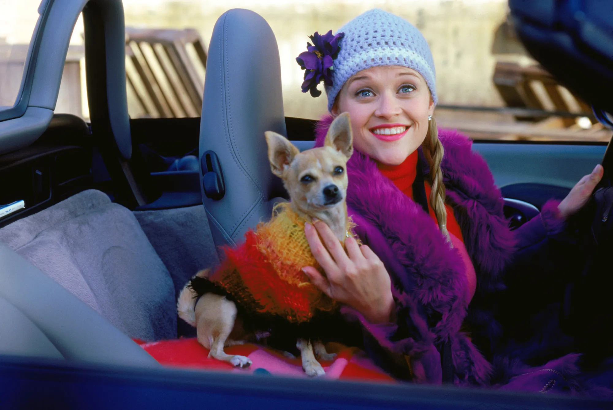 What to Know About Legally Blonde Prequel Elle
