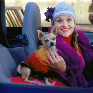 What to Know About Legally Blonde Prequel Elle