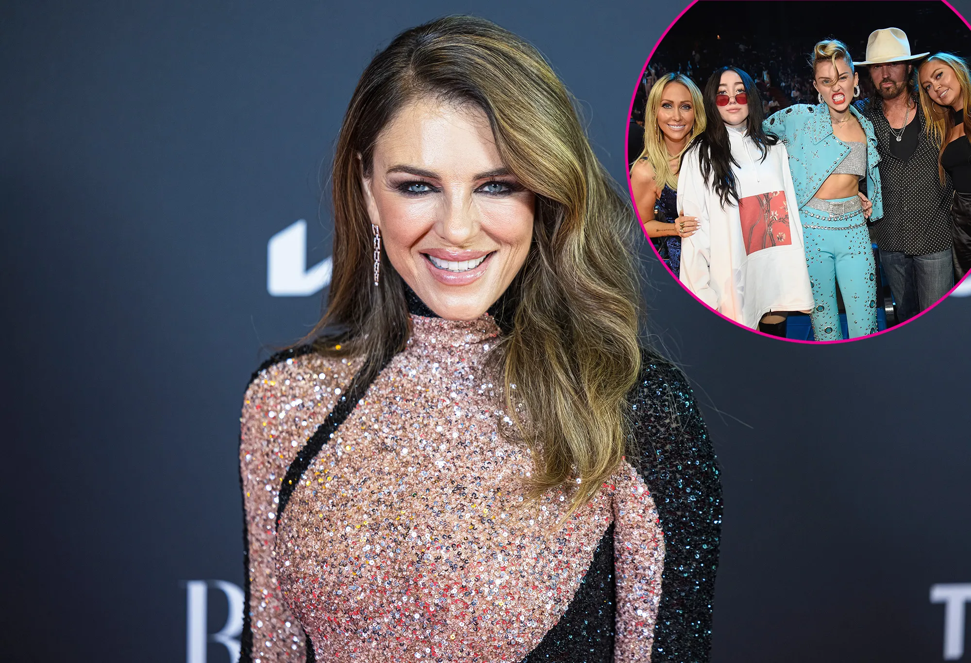 Which Member of the Cyrus Family Does Elizabeth Hurley Follow on Instagram