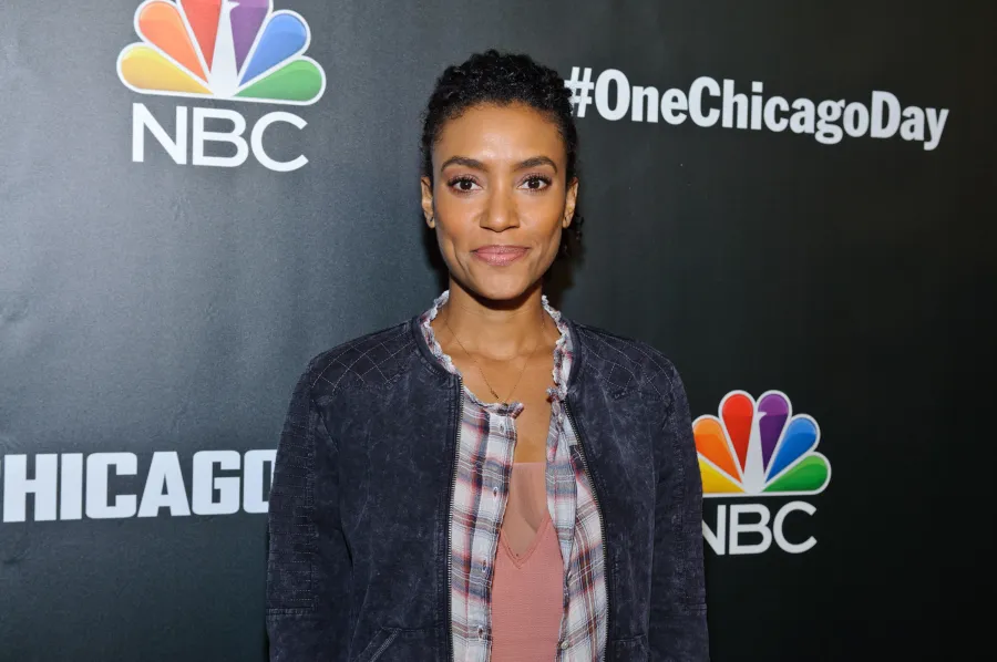 Annie Ilonzeh During Her Time on Chicago Fire