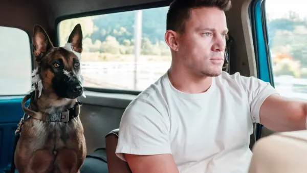 A man and his dog sit in a truck in Dog.