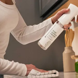 Emerald Prairie Replica Luxury Handbag Cleaning Products