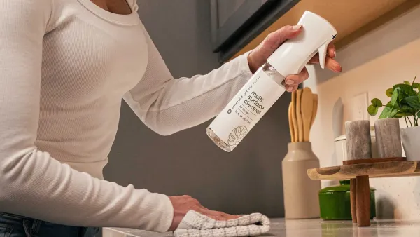 Emerald Prairie Replica Luxury Handbag Cleaning Products