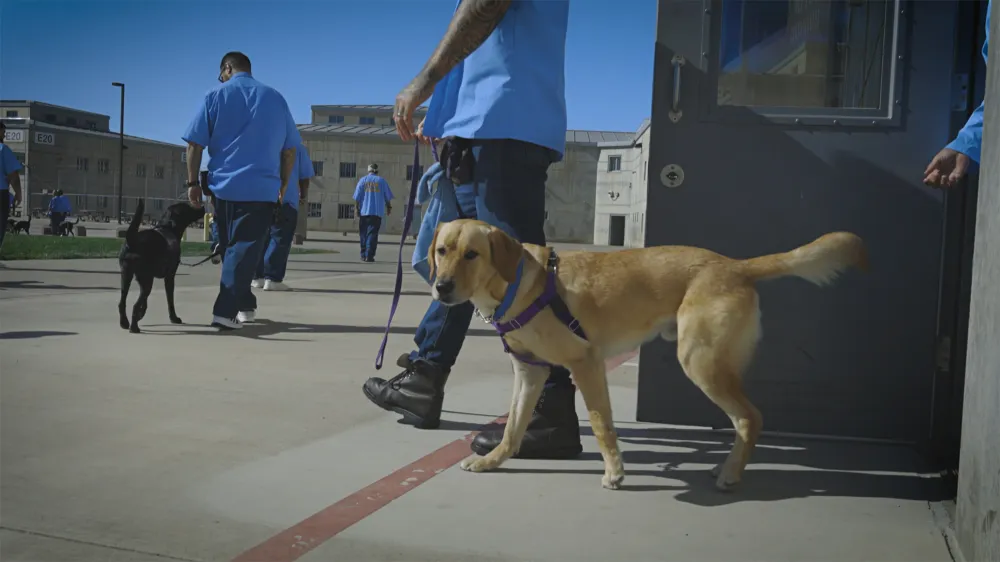 Rosie O Donnell revela c&oacute;mo Lyle Menendez la ayud&oacute; tras el diagn&oacute;stico de autismo de su hijo Clay