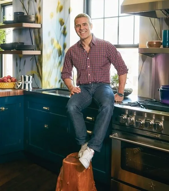 1stDibs Pride Campaign_Andy Cohen_credit_ Douglas Friedman.jpg