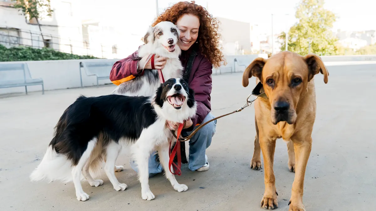 Amazon's Best Pet Day Deals for Dog Moms Who Love A Good Spoil