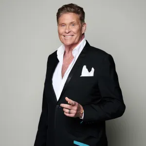David Hasselhoff Wheelchair Explained