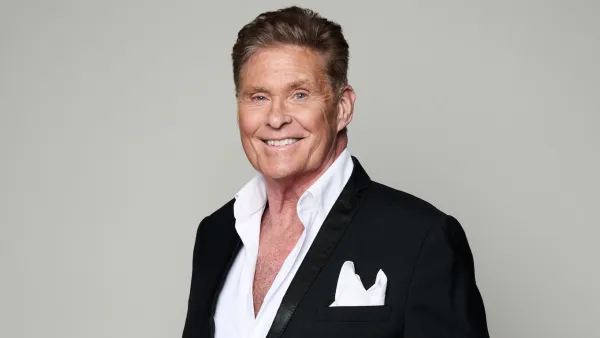 David Hasselhoff Wheelchair Explained