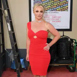 Britney Spears Warned About Her Conduct After Drinking and Smoking on Private Jet: Report