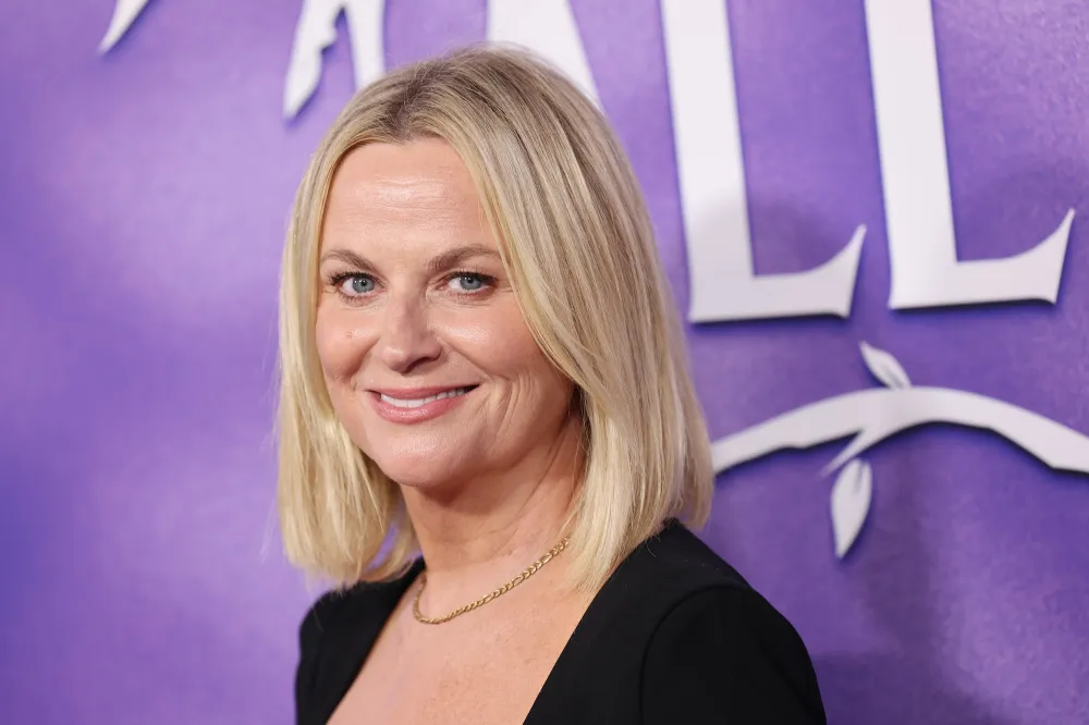 GettyImages-2172507546.jpg Amy Poehler Veneers