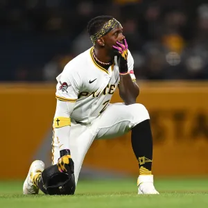 Pittsburgh Pirates Fan Injury