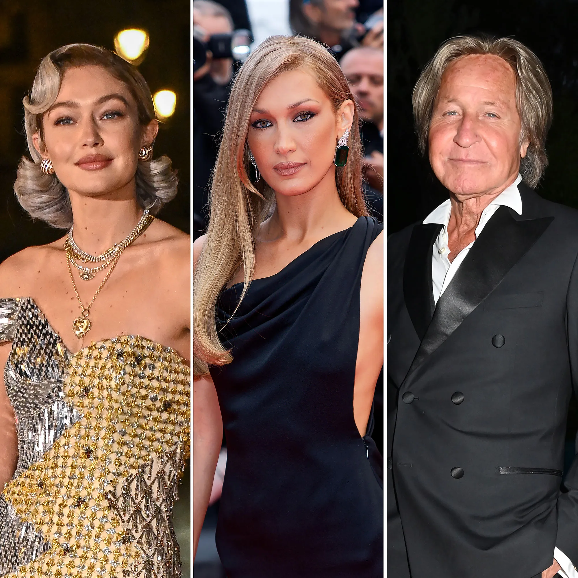 Hadid Family Guide