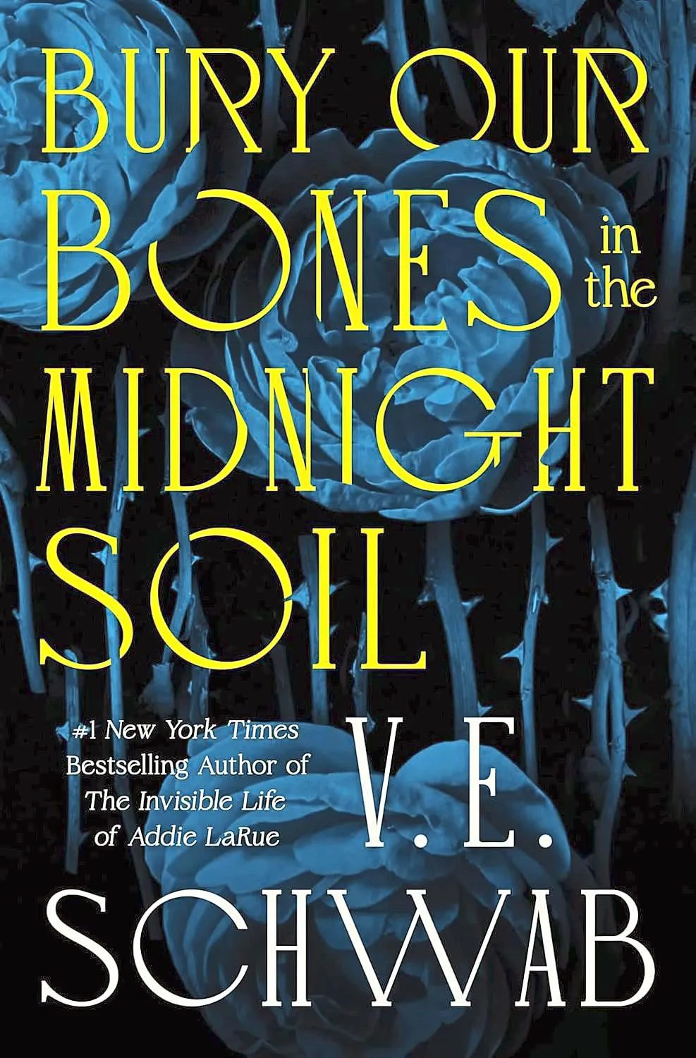 Highly Anticipated Summer Reads Bury Our Bones in the Midnight Soil by V E Schwab credit Tor Books