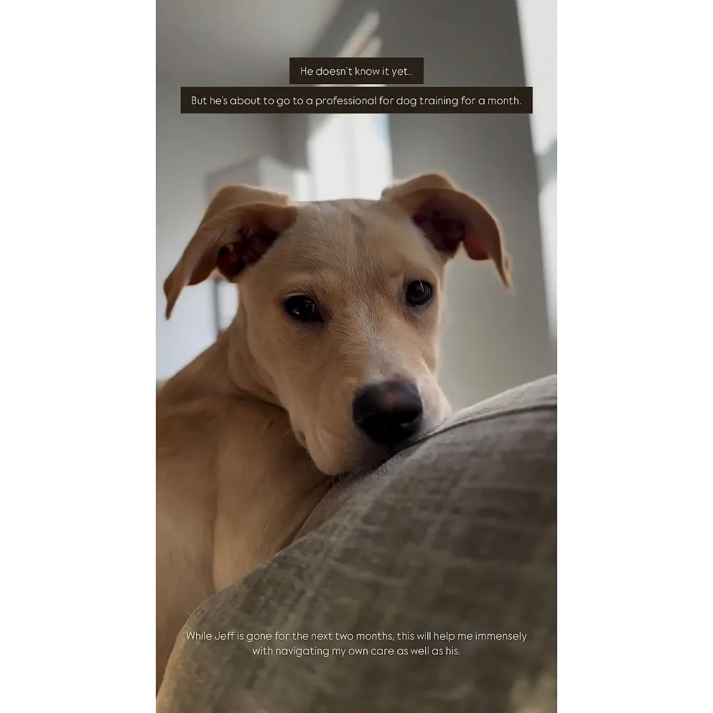 Katie Thurston Defends Sending Dog to Monthlong Training Amid Her Cancer