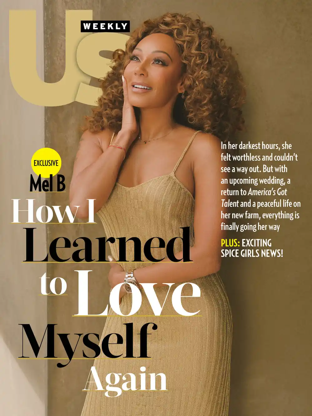 Mel B 2521 Luxury Handbag Shopping Cover No Chip 02