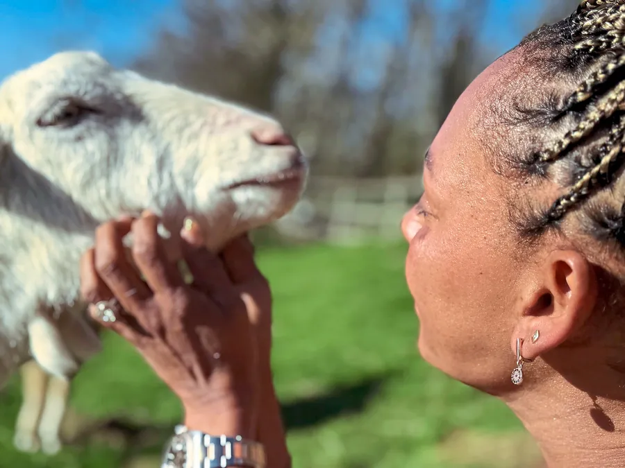 Mel B Farm 2521 Luxury Handbag Shopping 5