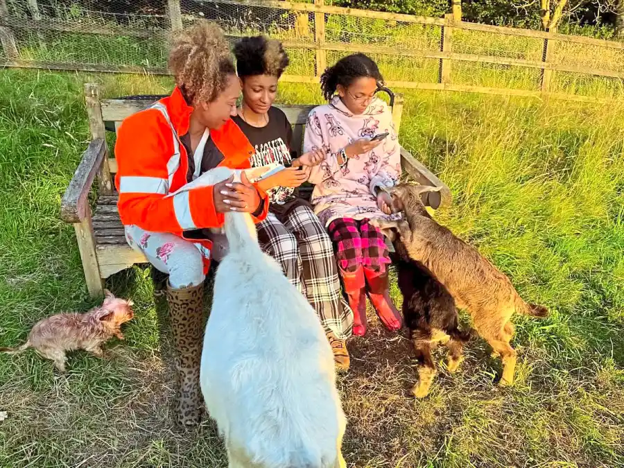 Mel B Farm 2521 Luxury Handbag Shopping