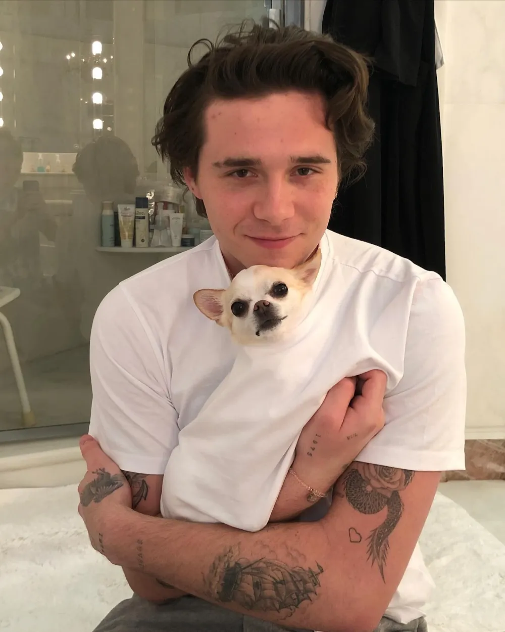 Nicola Peltz s Dog Death Court Drama Amid Beckham Family Feud