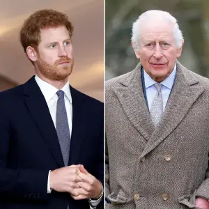 Prince Harry Comments About King Charles Cancer Likely Made Feud Worse