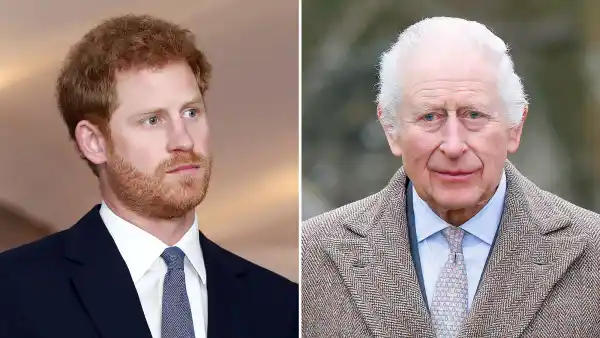 Prince Harry Comments About King Charles Cancer Likely Made Feud Worse