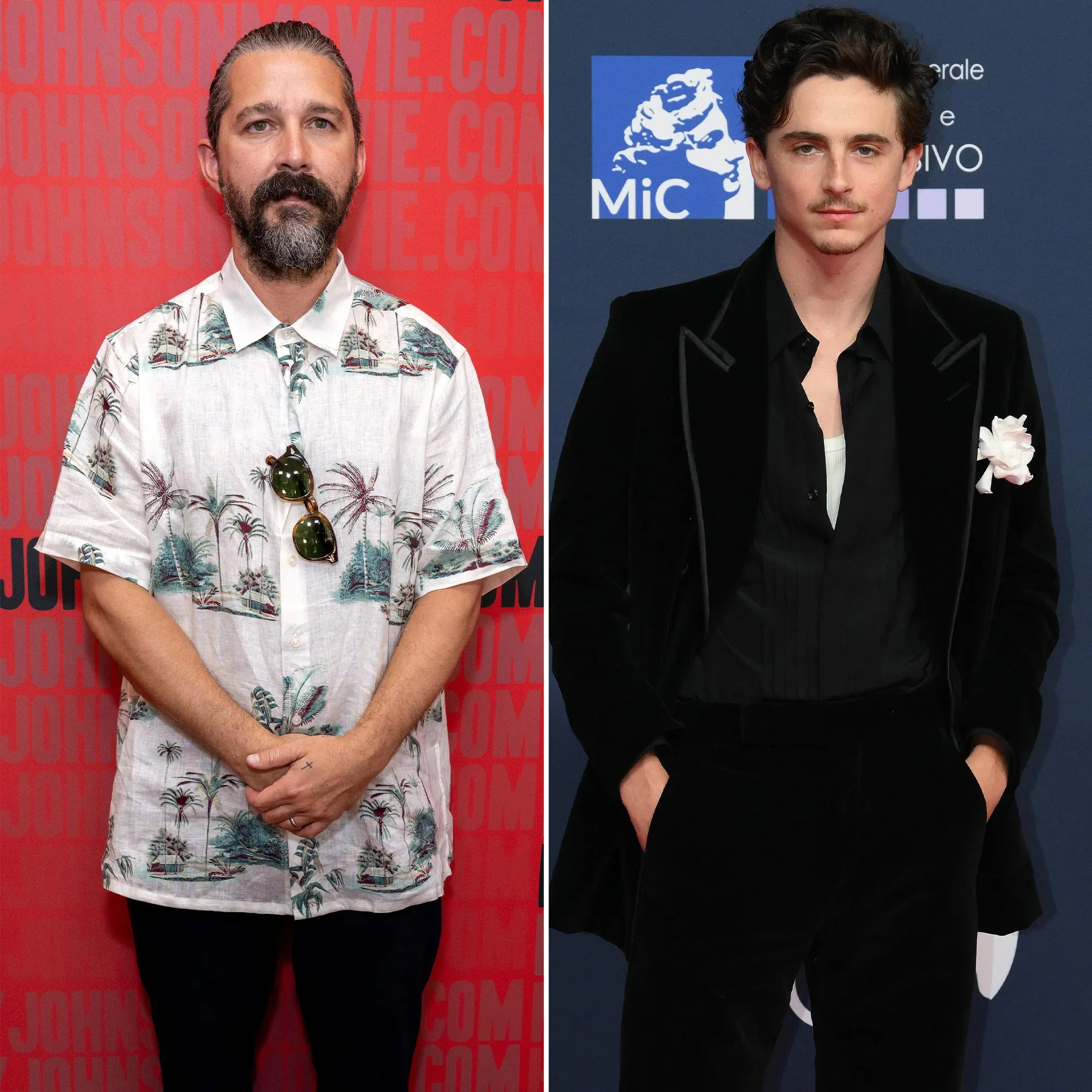 Shia LaBeouf Shares Alleged Private Emails With Timothee Chalamet