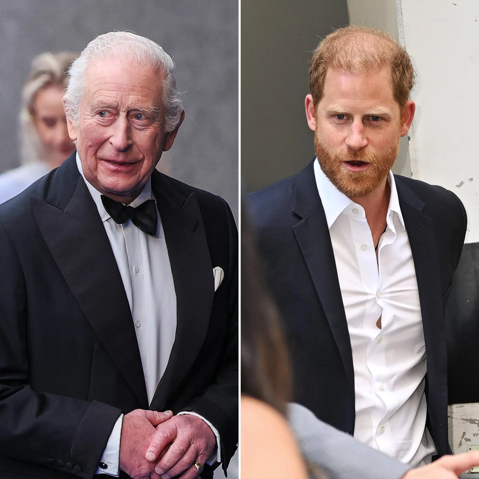 When Was the Last Time Harry Saw Charles They Were Together Publicly 473