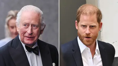 When Was the Last Time Harry Saw Charles They Were Together Publicly 473