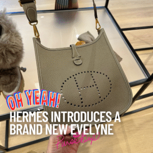 new evelyne, hermes evelyne, evelyne 23, mini evelyne, evelyne 2025, evelyne 2025 fall-winter hermes