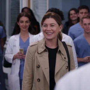 Which Grey's Anatomy Stars Are and Aren't Returning