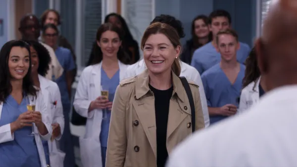 Which Grey's Anatomy Stars Are and Aren't Returning