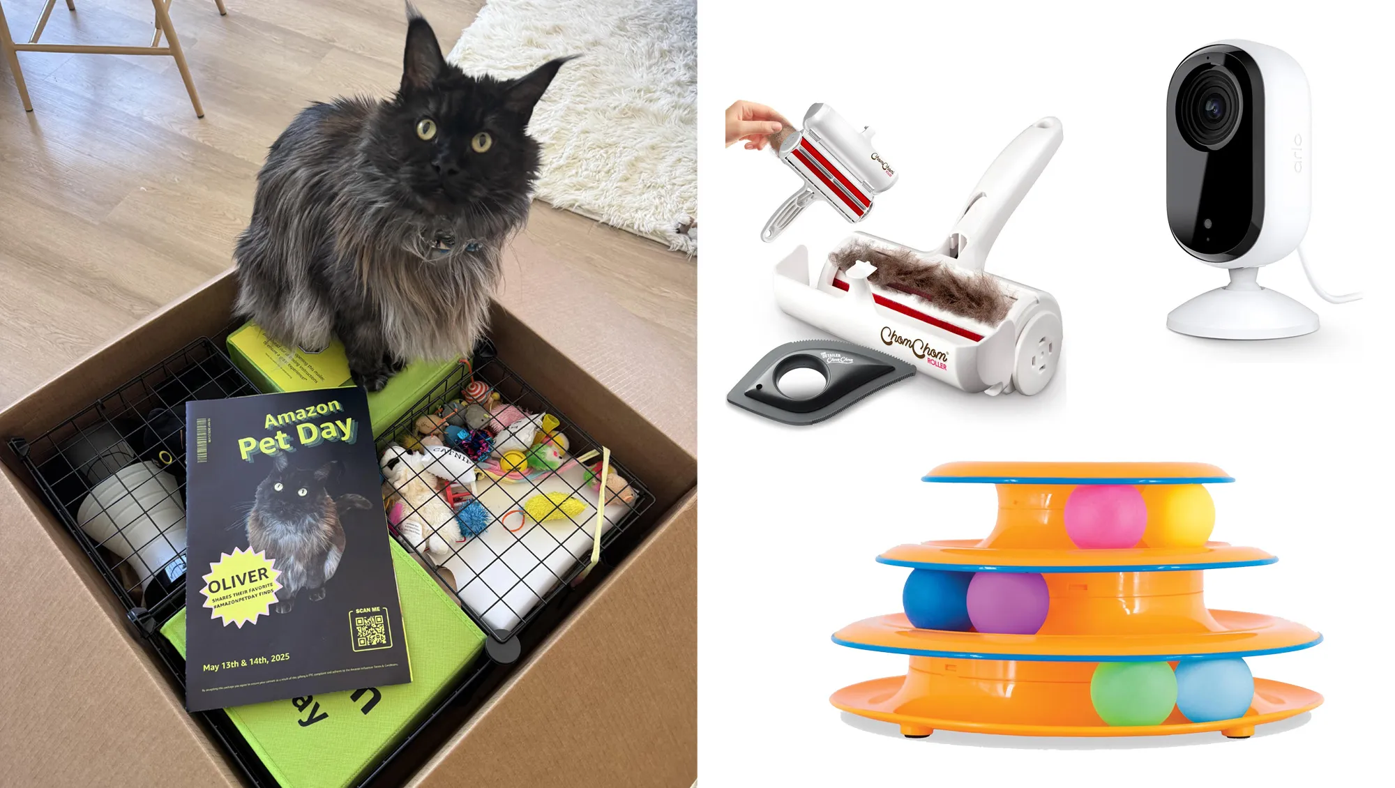 Amazon Pet Day Cat Recommendations