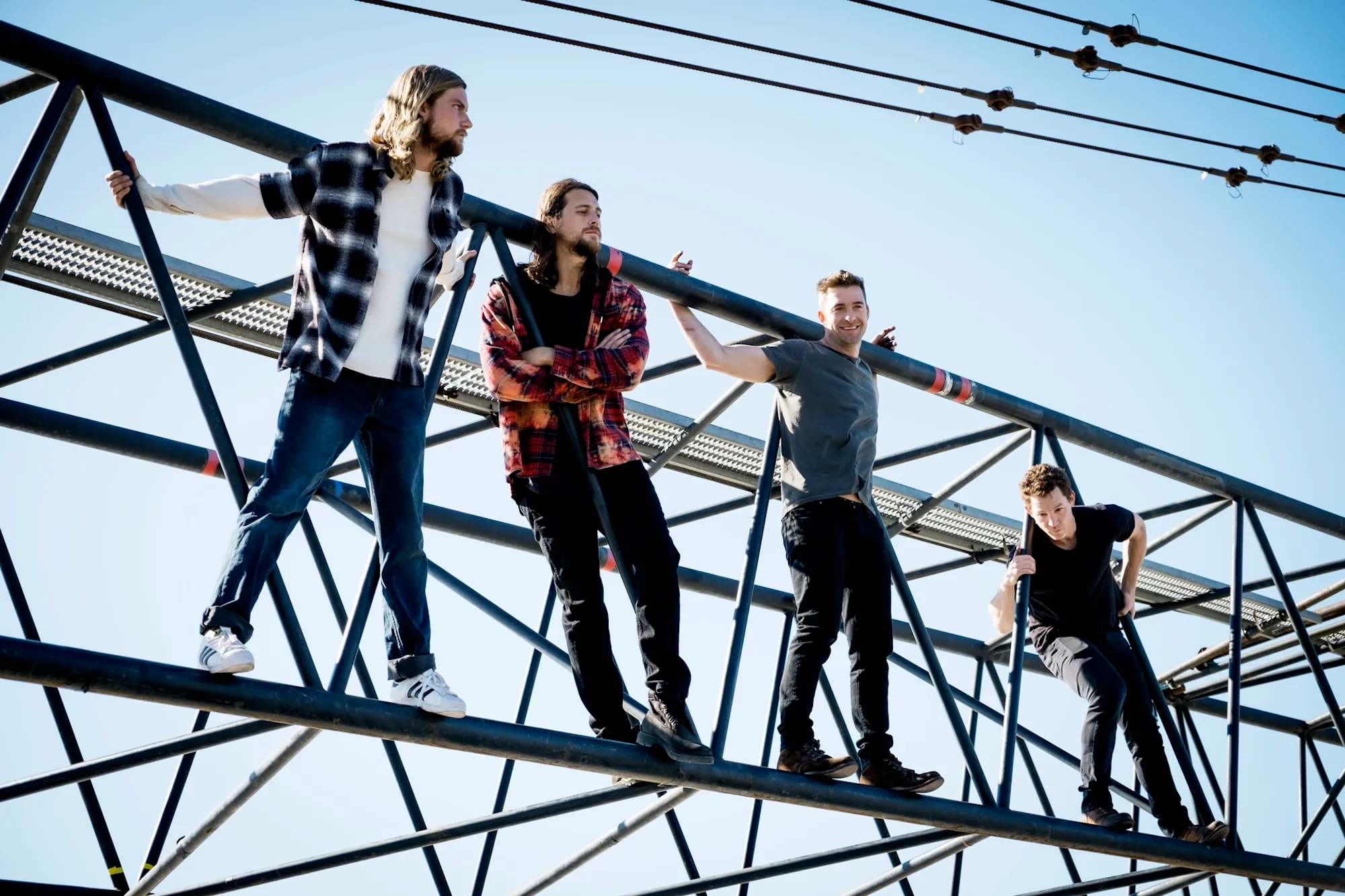 Animal Kingdom Where Are They Now