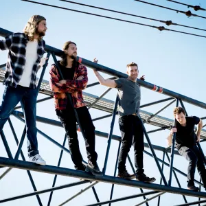 Animal Kingdom Where Are They Now