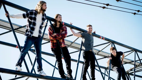 Animal Kingdom Where Are They Now