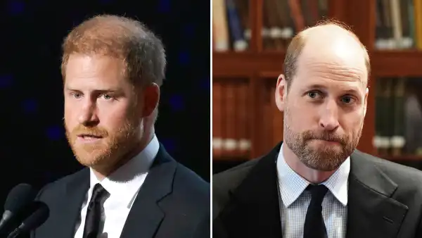 Breaking Down Which Stars Have Shown Support for Prince William or Harry Who s In Their Corner 2161690031 2206547924