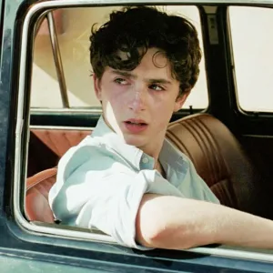 Timothee Chalamet in Call Me by Your Name
