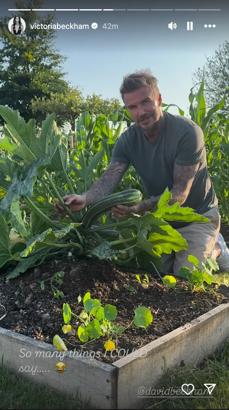 David-Beckham-in-the-Garden-IG