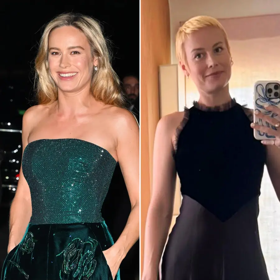 Every Celebrity Hair Transformation of 2025 From Brie Larson s Pixie Cut to Julianne Moore s Bob 2179129958