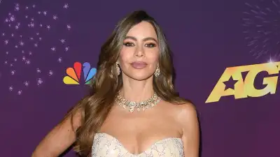 Sofia Vergara Shares Steamy Bikini Throwback Pic in Miami