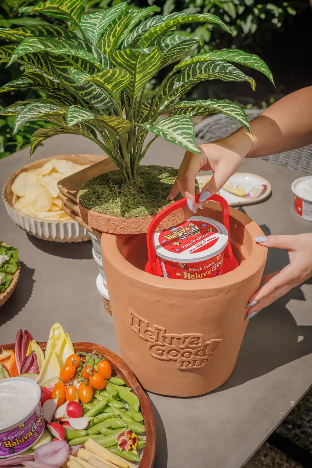 Heluva Good Dip Bethenny Frankel