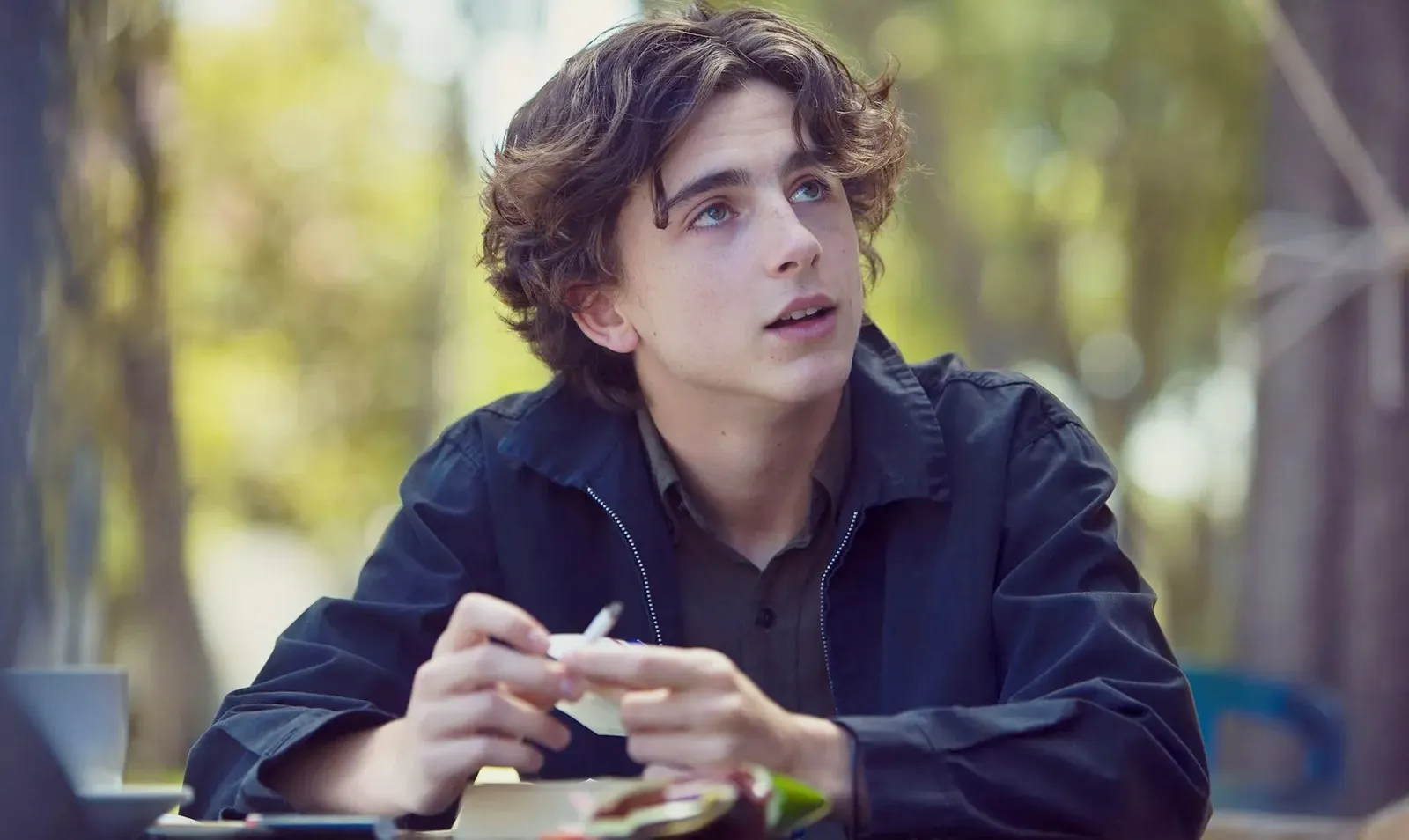 Timothee Chalamet in Lady Bird