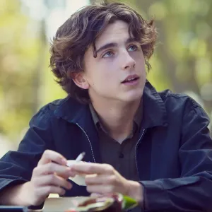 Timothee Chalamet in Lady Bird