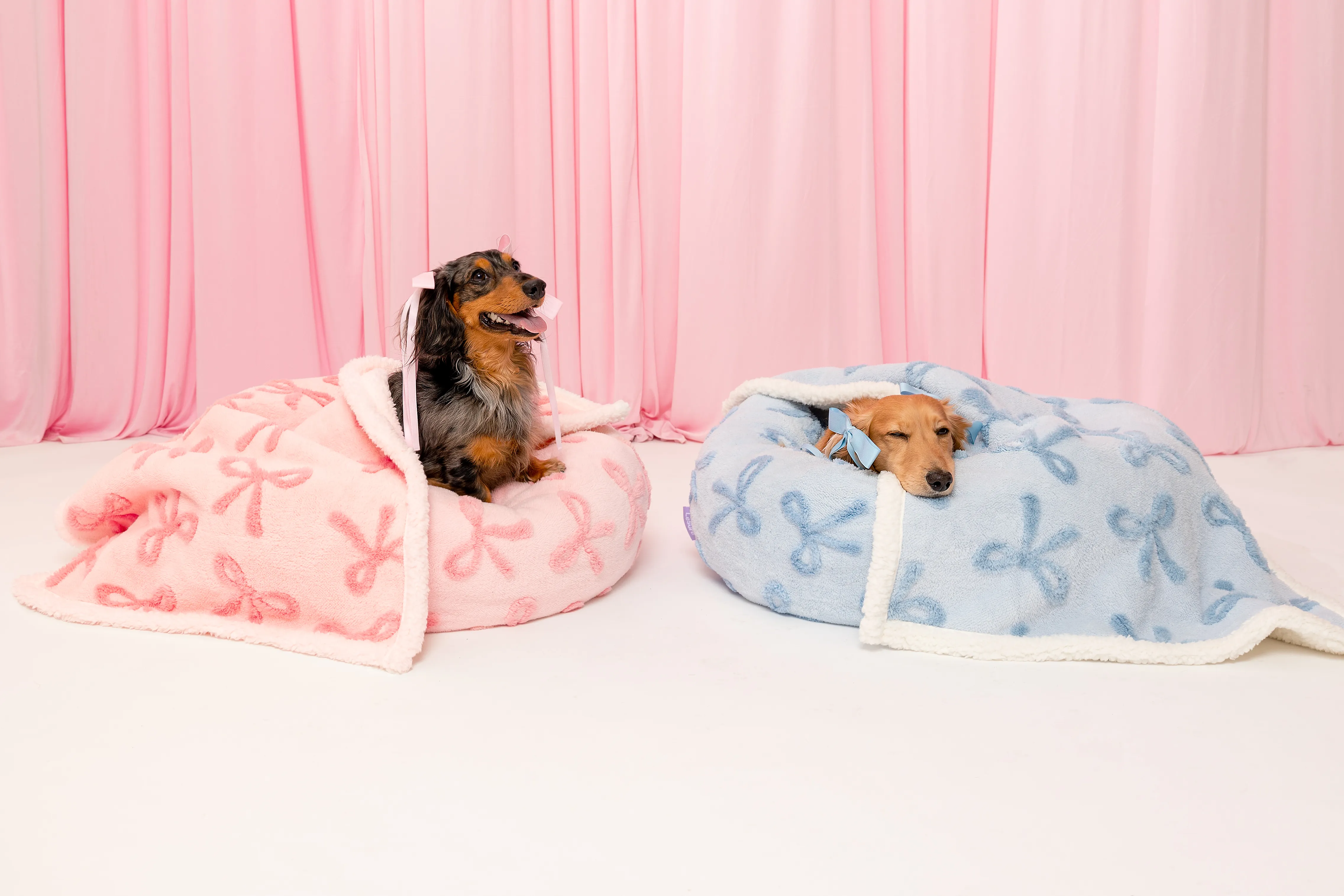 The Lesure Donut Dog Bed