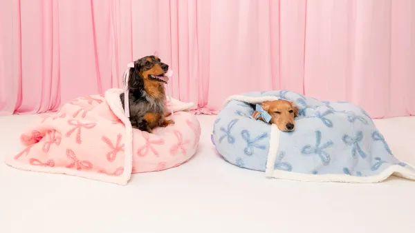 The Lesure Donut Dog Bed