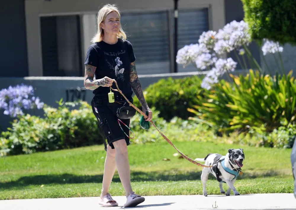 Erika Eleniak Rare Outing