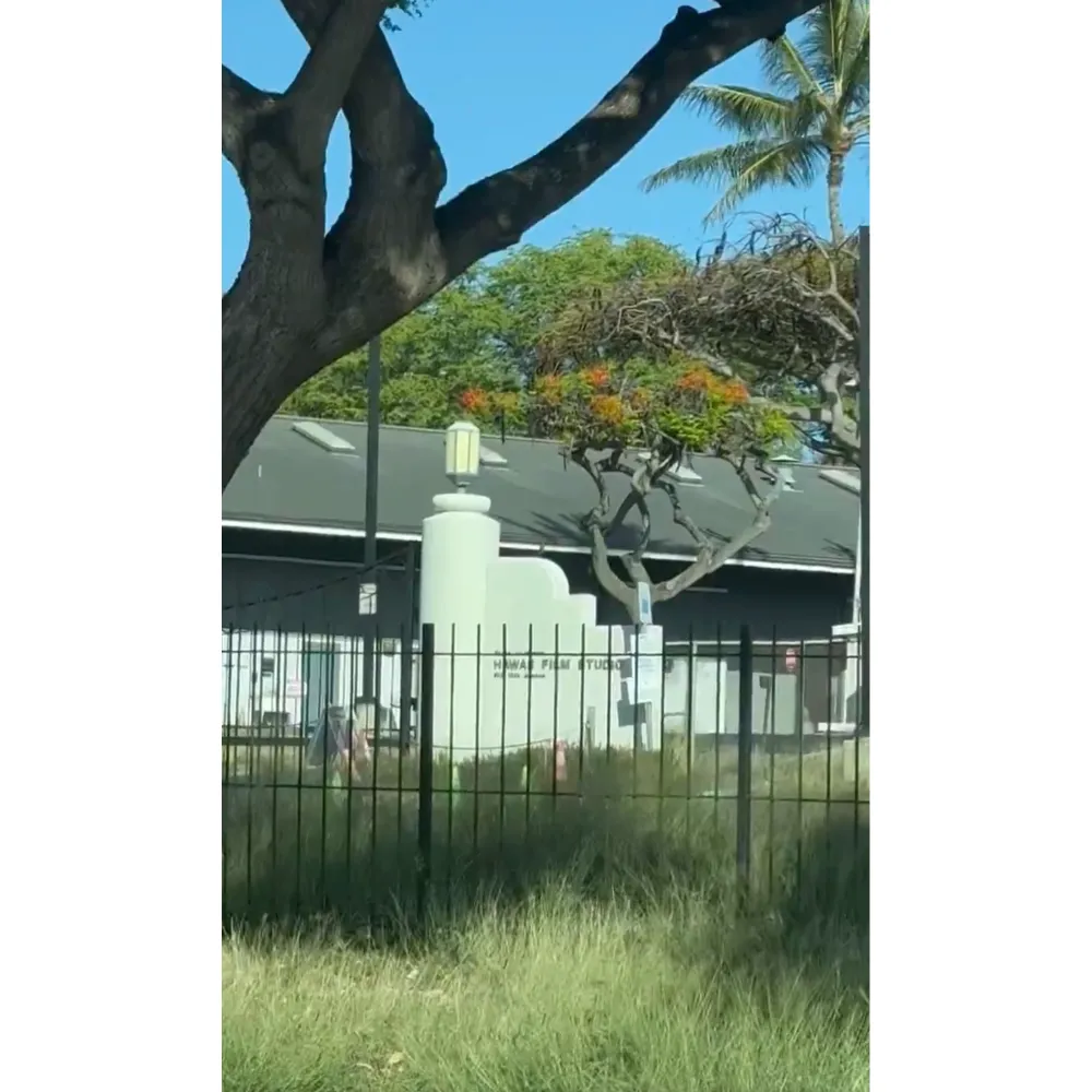 NCIS Hawai i Alum Reveals Honolulu Studio Is Empty Weedy After Controversial Cancellation