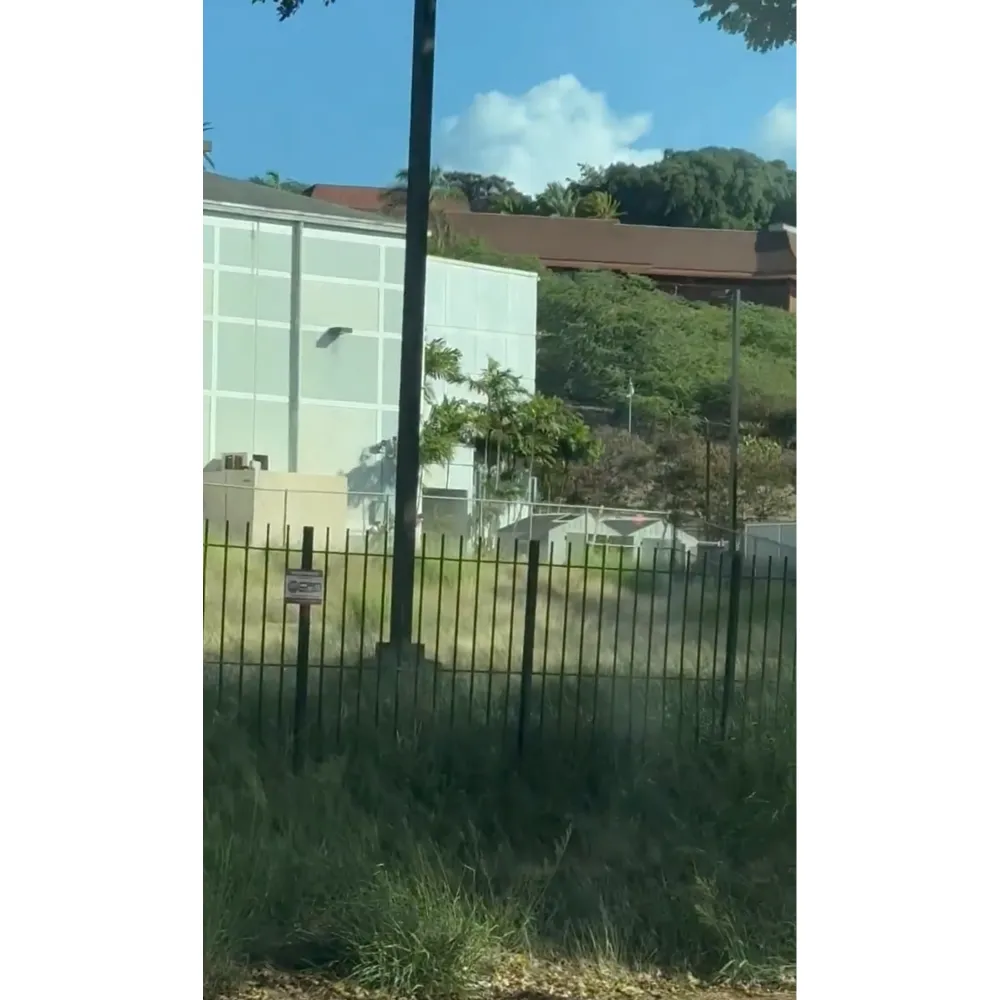 NCIS Hawai i Alum Reveals Honolulu Studio Is Empty Weedy After Controversial Cancellation